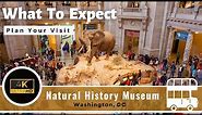 Natural History Museum - Full Tour - Washington, DC - Smithsonian 4K