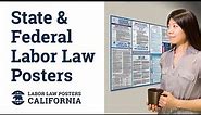 California State and Federal Labor Law Poster Video