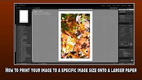 How to print your image to a specific image size onto a larger paper!