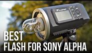 BEST FLASH Setup for Sony a9 a7RIII a6000 a6300 a6500 - A Buying Guide to Flashpoint & Godox Lights