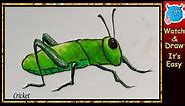 How to Draw a Cricket
