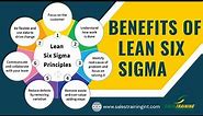 Lean Six Sigma Overview, Benefits and Tools