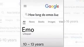 How Long Do Emos Live / How Long Do Short People Live