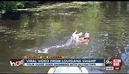 VIDEO: Louisiana swamp tour guide feeds gators chicken, marshmallows