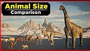 Animal Size Comparison | Different Animals Size Comparison | Data Slide