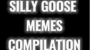 silly goose memes compilation💀💀 #funny #memes #sillygoose #memesvideo #comedy #memecompilation