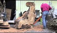 Cutting Maple Burl wood