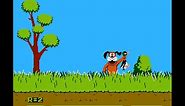 NES Game: Duck Hunt (1984 Nintendo)