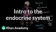 Intro to the endocrine system | Health & Medicine | Khan Academy