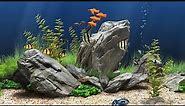 Dream Aquarium Screensaver 4K UHD