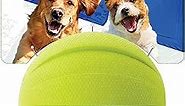 Nerf Dog Rubber Ball Dog Toy with Squeaker, Lightweight, Durable and Water Resistant, 4 Inch Diameter for Medium/Large Breeds, Single Unit, Green