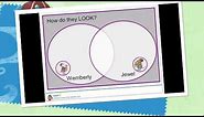 Comparing and Contrasting Characters | 1st Grade Reading | eSpark Instructional Video