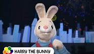 Happy New Year | Harry the Bunny | BabyFirstTV