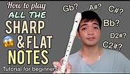 RECORDER FLUTE TUTORIAL 2021 - How to play all the Sharp and Flat Notes