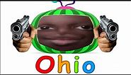 Cocomelon from Ohio