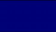 NAVY BLUE #000080 - 2021 Official Navy Blue Color
