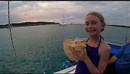 How to make a conch shell horn, so easy a kid can do it.