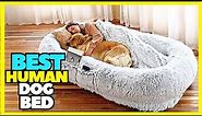 Top 5 Best Human Dog Bed 2023 Best Beds For Large Dogs