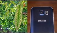 Samsung Galaxy S6 - Camera Review! (Best Smartphone Camera?)