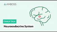 The Neuroendocrine System: Regulatory Processes