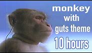 Monkey with guts theme 10 Hours