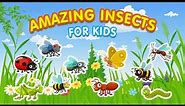 Amazing Insects | Learn Insects Facts for Kids