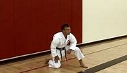 Basic Karate Stances