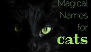 200  Magical, Mystical Names for Cats