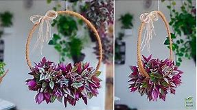 How to Make Hanging Ring Plants Decoration | Hanging Planters | Indoor Hanging Plants//GREEN DECOR