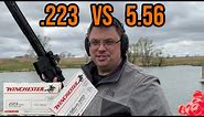 .223 Vs. 5.56 - Is There A Practical Difference?? | Ballistics Test! #guns #science #rangeday