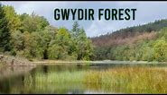 Photographing the AMAZING Landscape of SNOWDONIA from the Gwydir Forest