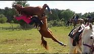 Horse flips on rider