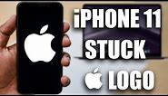 Fix iPhone 11/11 Pro/11 Pro MAX Stuck on Apple Logo or Boot Loop - Resolve iOS 15/14 Endless Reboot