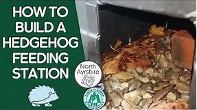How to make a hedgehog feeding station