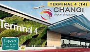 Singapore Changi Airport Terminal 4 ✈✈✈✈| Walk Around (Mar 2023)