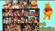 My Disney Winnie The Pooh Plush Collection Room Tour Video OVER 250 POOH BEARS