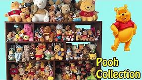 My Disney Winnie The Pooh Plush Collection Room Tour Video OVER 250 POOH BEARS