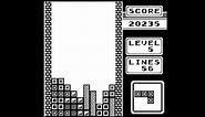 Tetris - A Perfect Game?