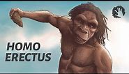 Homo Erectus - The First Humans
