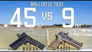 .45cal Vs 9mm Ballistic Test | Ammo Comparison | Tactical Rifleman