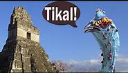 Tikal 1 - Birding with Mariela