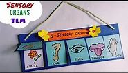 Sensory organs model for school project| How to make Sense Organs | Sensory organs TLM | TLM Ideas |