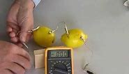 Create a Lemon Battery