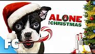 Alone For Christmas | Full Family Christmas Comedy Dog Movie | Kevin Sorbo | Family Central