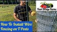 How to Install Welded Wire Fencing on T-Posts, Berry Patch Expansion