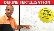 Human Fertilization | Zygote | Blastocyst | Embryology
