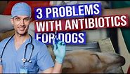 3 Problems With Antibiotics For Dogs