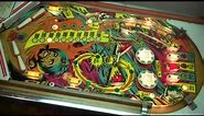 1978 Gottlieb SINBAD pinball machine