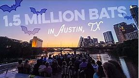 How to See the Austin Bats