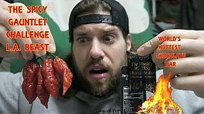 The Spicy Gauntlet Challenge (ft. World's Hottest Chocolate Bar- 9 Million Scoville) | L.A. BEAST